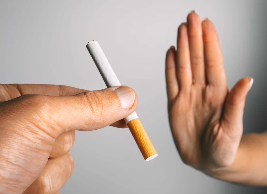 Какие стики для IQOS бывают, кроме хитс – обзор производителей