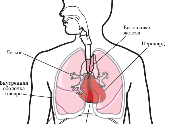 Айкос не включается – причины, способы устранения неполадок