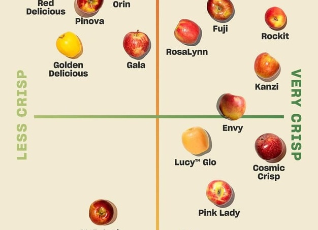 Как разобрать Glo – советы пользователям